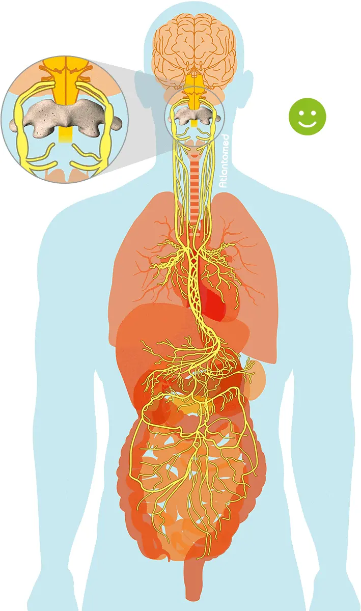 Vagus nerve dysfunction