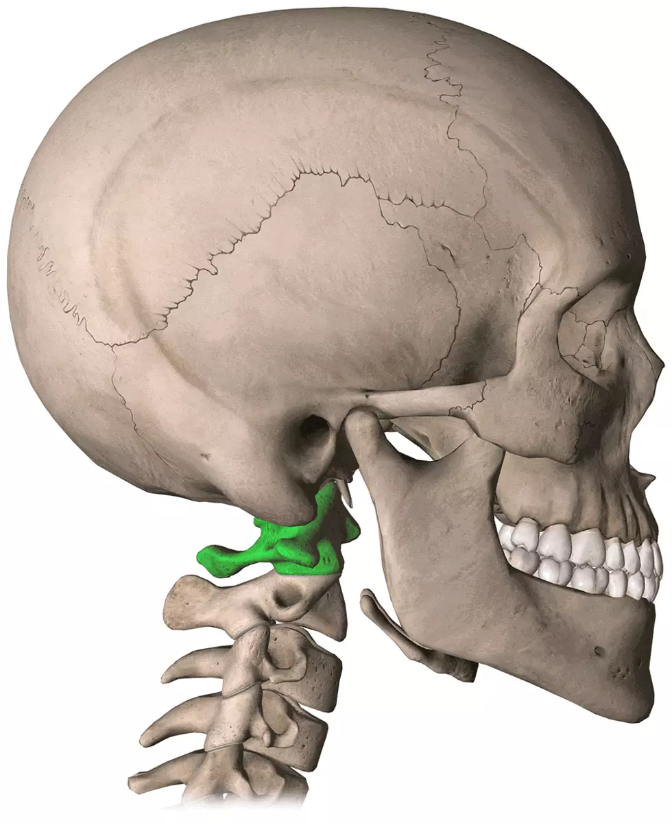 Cervical spine straightening